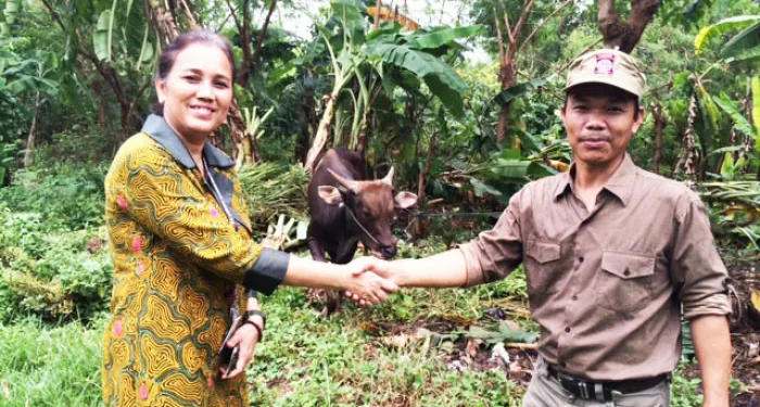 CSR Handover of Cattle Sacrifice to Residents Around 1437 H 1 serah_terima_sapi_untuk_qurban_1437_h