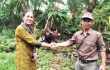 Handover of Cattle Sacrifice to Residents Around 1437 H